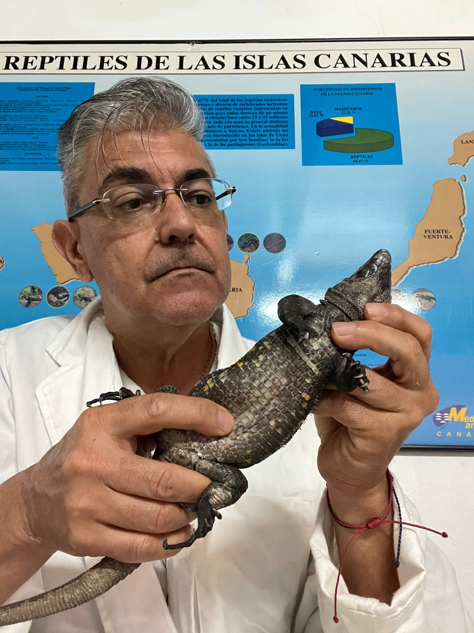 Centro de Reproducción del Lagarto Gigante de El Hierro 