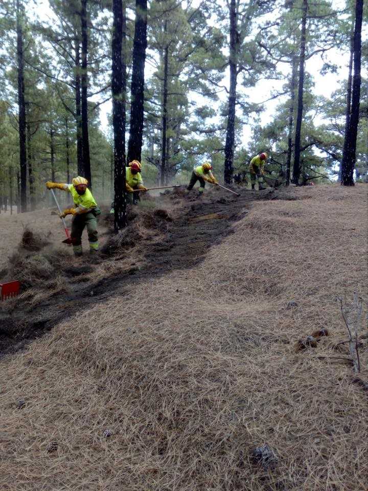 Cabildo El Hierro contrata apoyo a campaña contra incendios (2020-2023) a TRAGSA por 2,1 millones 