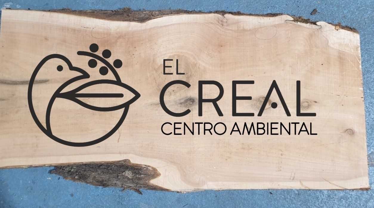 El Cabildo reabre el Vivero Forestal insular coincidiendo con el Día Mundial del Medio Ambiente