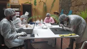 5f228b55dc1f240017d00d46