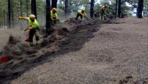 Cabildo El Hierro contrata apoyo a campaña contra incendios (2020-2023) a TRAGSA por 2,1 millones 