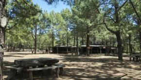 Cabildo de El Hierro reabre al público la  acampada y áreas recreativas en la masa boscosa